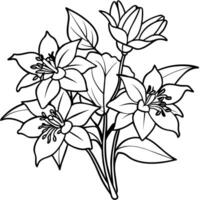 Columbine flower outline illustration coloring book page design, Columbine flower black and white line art drawing coloring book pages for children and adults vector