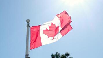 realista Canadá ondulación bandera. suave 4k aparentemente lazo video