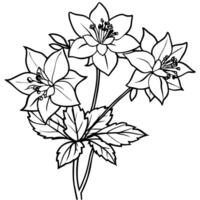 Columbine flower outline illustration coloring book page design, Columbine flower black and white line art drawing coloring book pages for children and adults vector