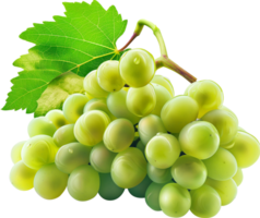 Fruits - Green Grape isolated on a transparent background png