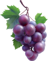 Fruits - Purple grape with leaves isolated on a transparent background png