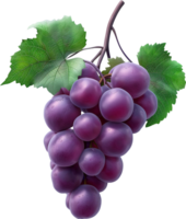 Fruits - Purple grape with leaves isolated on a transparent background png