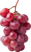 fruit - rouge les raisins isolé illustration png