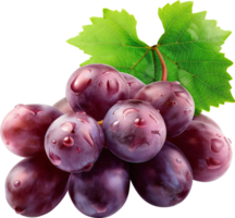 Fruits - Purple grape with leaves isolated on a transparent background png