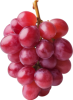 fruit - rouge les raisins isolé illustration png