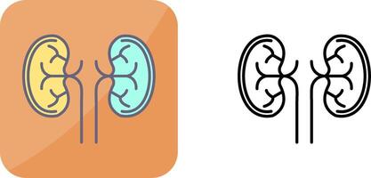 Kidney Icon Design vector