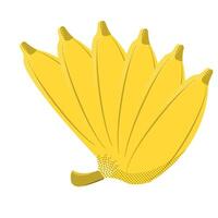six bananas fruit that are still attached to the stem illustration with dot texture and line vector
