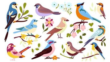 Set of 11 spring birds sitting on branches with flowers, a flat-style illustration hand-drawn, Cute stylized birds flowering branches. For the design and decor of spring greeting cards, posters vector