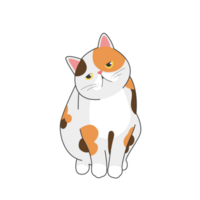 calicó gato pegatina camiseta ilustración png