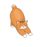 mollig Orange Katze Aufkleber T-Shirt Illustration png