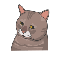 triste gato meme adesivo camiseta ilustração png