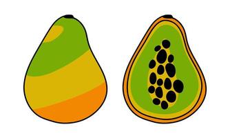 A set of illustrations depicting whole and sliced papaya, showing bright colors and detailed contours, is ideal for culinary and educational graphics. Cute illustration with outline and color vector