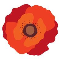 A red poppy flower on a white background. vector