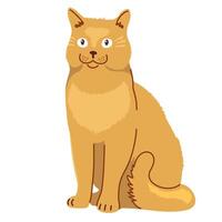 Cute ginger house cat in a sitting position. A sitting ginger cat with a friendly face. vector