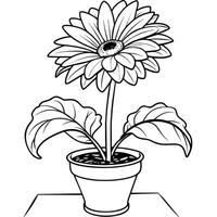 Gerbera Daisy flower outline illustration coloring book page design, Gerbera Daisy flower black and white line art drawing coloring book pages for children and adults vector