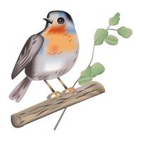 Little Bird Illustration vector