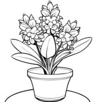 Hyacinth flower outline illustration coloring book page design, Hyacinth flower black and white line art drawing coloring book pages for children and adults vector