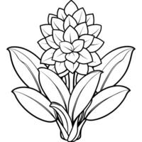 Hyacinth flower outline illustration coloring book page design, Hyacinth flower black and white line art drawing coloring book pages for children and adults vector