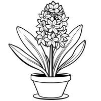 Hyacinth flower outline illustration coloring book page design, Hyacinth flower black and white line art drawing coloring book pages for children and adults vector