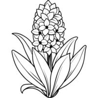 Hyacinth flower outline illustration coloring book page design, Hyacinth flower black and white line art drawing coloring book pages for children and adults vector