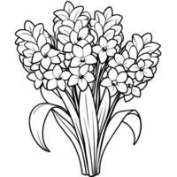 Hyacinth flower outline illustration coloring book page design, Hyacinth flower black and white line art drawing coloring book pages for children and adults vector