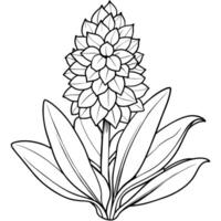 Hyacinth flower outline illustration coloring book page design, Hyacinth flower black and white line art drawing coloring book pages for children and adults vector