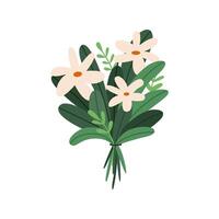 Beautiful bouquet with garden or wildflowers. Flowering plants with stems and leaves. Flower decoration or gift. Flat illustration isolated on white background. vector