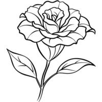 Lisianthus flower outline illustration coloring book page design, Lisianthus flower black and white line art drawing coloring book pages for children and adults vector