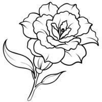 Lisianthus flower outline illustration coloring book page design, Lisianthus flower black and white line art drawing coloring book pages for children and adults vector