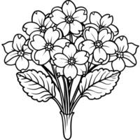 Primrose flower outline illustration coloring book page design vector