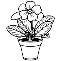 Primrose flower outline illustration coloring book page design vector