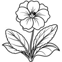 Primrose flower outline illustration coloring book page design vector