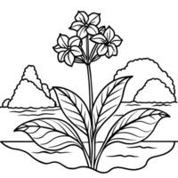 Primrose flower outline illustration coloring book page design vector