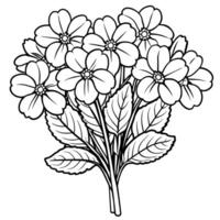 Primrose flower outline illustration coloring book page design vector