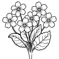 Primrose flower outline illustration coloring book page design vector