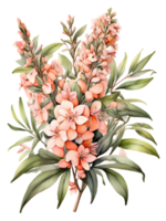 watercolor illustration of a bunch of pink flowers png