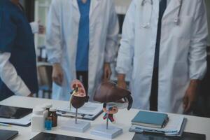 médico, reunión y ordenador portátil para equipo en oficina en discusión, lluvia de ideas y planificación. doctor, enfermero y computadora en escritorio, trabajo en equipo o taller para modelo interno Organo. foto