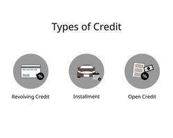 type of credit for revolving credit, installment, open credit vector