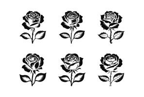 conjunto de decorativo Rosa con hojas. flor silueta. ilustración. Rosa flor icono vector