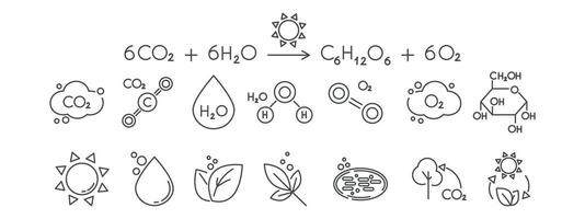 un conjunto de línea íconos relacionado a fotosíntesis. ecuación, cloroplasto, clorofila, sol, agua, glucosa, azúcar, hoja, planta ilustración. editable golpes vector