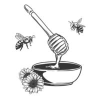 Honey pot, bee, flower and wooden spoon. Hand drawn vintage engraving style illustrations isolated on background vector