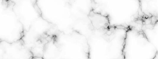White marble texture background vector