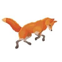 Red fox in jump hunts for prey vector