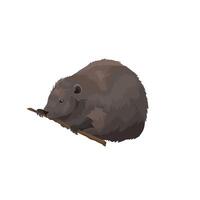 Beaver drawn in realistic style gnaws branch vector