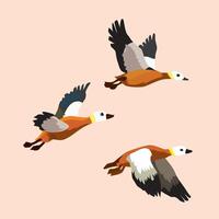 ilustración de Tres naranja patos volador vector