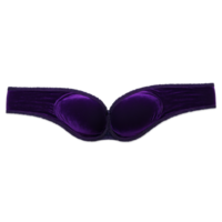 Profond violet velours soutien-gorge une Profond violet velours soutien-gorge avec une peluche luxueux texture mettant en valeur png