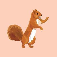 Red squirrel rises and gnaws a nut vector