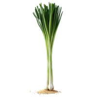 Green onions long slender white and green stalks chopped falling scattering sesame seeds drifting Food png