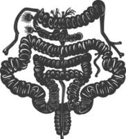 Silhouette human intestine black color only vector