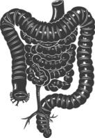 silueta humano intestino negro color solamente vector